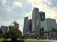 DSC 8871