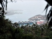 DSC 9062